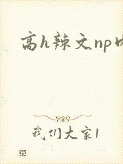 高h辣文np肉