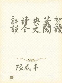 许靖央萧贺夜小说全文阅读最新章节封面