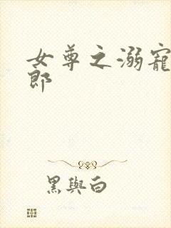 女尊之溺宠怯夫郎