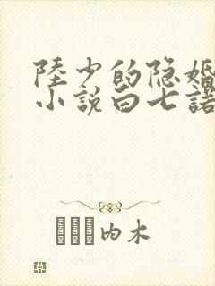 陆少的隐婚罪妻小说白七诺