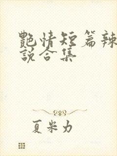 艳情短篇辣文小说合集封面