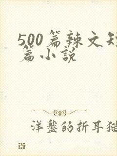 500篇辣文短篇小说