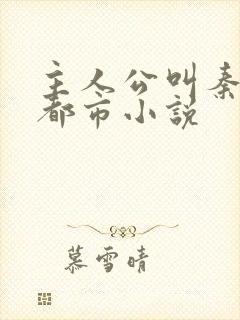 主人公叫秦昊的都市小说