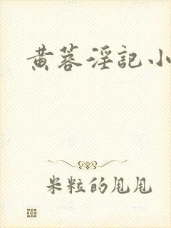 黄蓉淫记小说封面