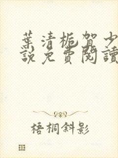 叶清栀贺少衍小说免费阅读最新章节封面