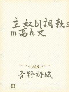 主奴bl调教sm高h文