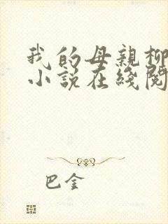 我的母亲柳若曦小说在线阅读封面