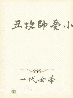 丑攻帅受小说封面