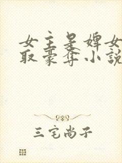 女主是婢女被强取豪夺小说封面