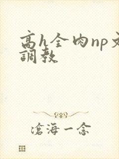高h全肉np文调教
