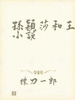 孙颖莎和王楚钦小说封面