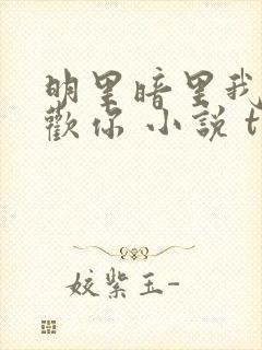 明里暗里我都喜欢你 小说 txt
