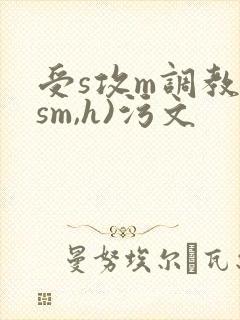 受s攻m调教(sm,h)污文