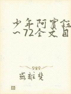 少年阿宾钰慧1～72全文目录免费阅读封面