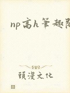 np高h笔趣阁