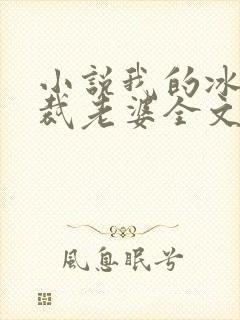 小说我的冰山总裁老婆全文阅读