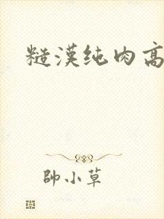 糙汉纯肉高h文封面