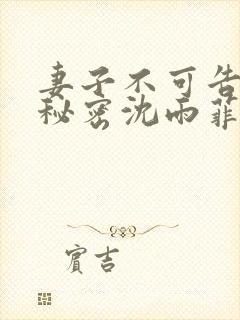 妻子不可告人的秘密沈雨菲小说免费阅读