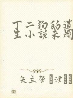 丁二狗的逍遥人生小说未删减完整版