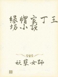 绿帽家丁玉德仙坊小说封面