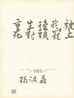 重生后我被渣男死对头宠上天