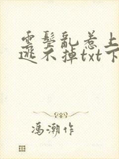 云鬓乱惹上奸臣逃不掉txt下载