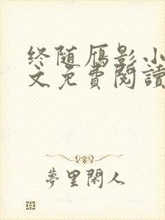 终随雁影小说全文免费阅读