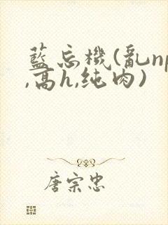 蓝忘机(乱np,高h,纯肉)