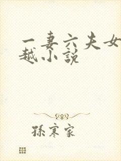 一妻六夫女主穿越小说封面