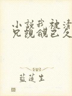 小说我被清冷师兄觊觎已久免费阅读全文