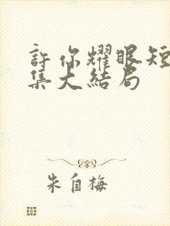 许你耀眼短剧全集大结局