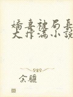 娇妻被局长的粗大撑满小说