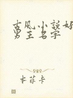 古风小说好听的男主名字