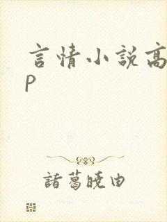 言情小说高hnp