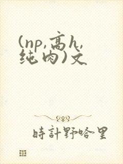 (np,高h,纯肉)文