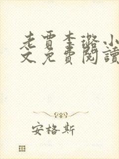 老贾李璐小说全文免费阅读封面