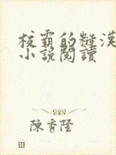 校霸的糙汉爸爸小说阅读