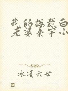 我的总裁白富美老婆秦宇小说最新章节在线封面