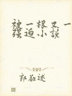 被一根又一根h强迫小说封面