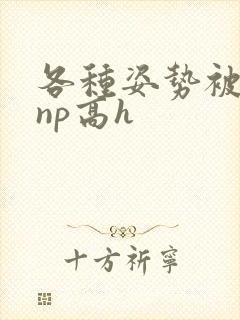 各种姿势被学长np高h