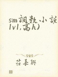 sm调教小说(1v1,高h)