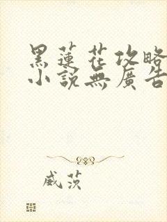 黑莲花攻略手册小说无广告