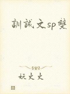 训诫文sp双男