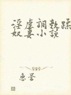 淫虐调教蹂躏共奴妻小说封面