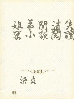 姐弟间消失的秘密小说阅读