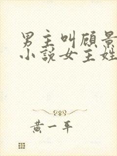 男主叫顾景琛的小说女主姓叶