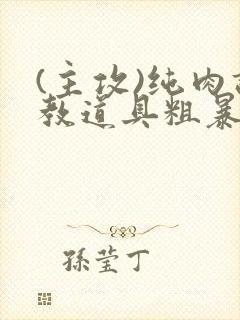 (主攻)纯肉调教道具粗暴np