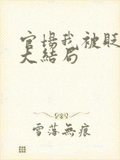 官场我被贬之后大结局