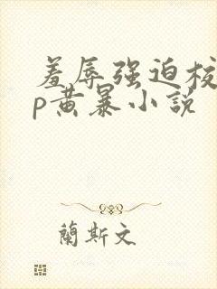 羞辱强迫校园np黄暴小说封面