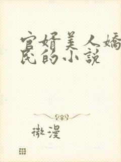 官婿美人娇王建民的小说